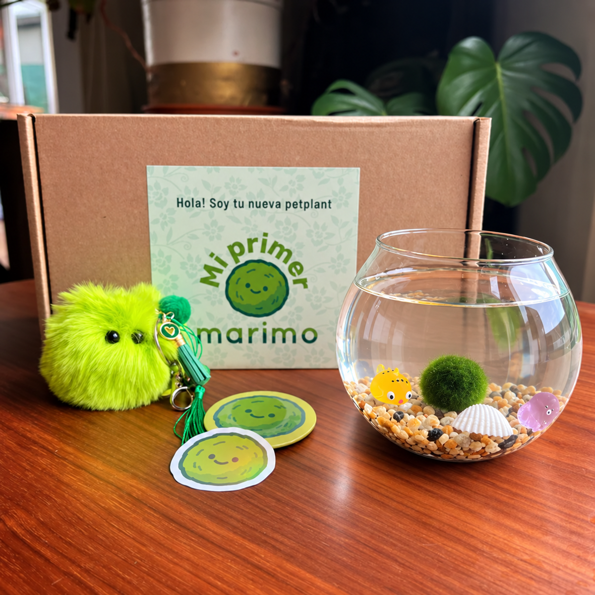 Kit Mi Primer Marimo