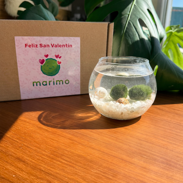 Kit San Valentín (sin llaveros)